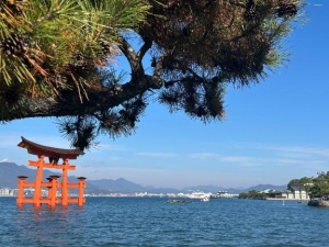 広島市中区薬研堀のヘルス AGORA（アゴラ）早朝6：00オープン!!厳選美人OLが連日多数出勤!!の写メ日記　出勤してます?画像