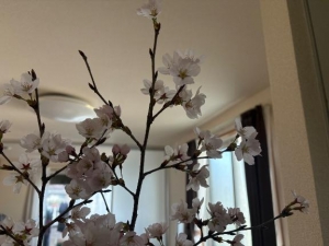 広島市中区薬研堀のヘルス AGORA（アゴラ）早朝6：00オープン!!厳選美人OLが連日多数出勤!!の写メ日記　楽しみだなぁ?画像