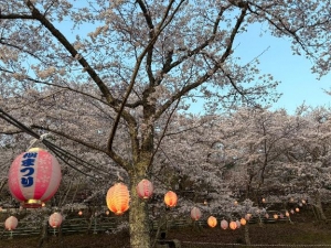 広島市中区薬研堀のヘルス AGORA（アゴラ）早朝6：00オープン!!厳選美人OLが連日多数出勤!!の写メ日記　キレイに咲いてくれてありがとう?画像