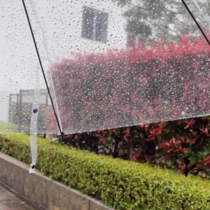 広島市中区薬研堀のヘルス AGORA（アゴラ）早朝6：00オープン!!厳選美人OLが連日多数出勤!!の写メ日記　伏線回収?????画像