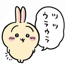 広島市中区薬研堀のヘルス AGORA（アゴラ）早朝6：00オープン!!厳選美人OLが連日多数出勤!!の写メ日記　今回の出社予定画像
