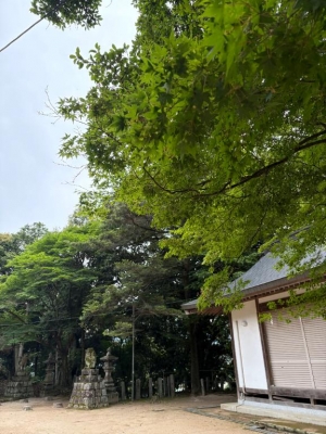 広島市中区薬研堀のヘルス AGORA（アゴラ）早朝6：00オープン!!厳選美人OLが連日多数出勤!!の写メ日記　AGORAの日?画像