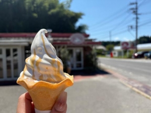 広島市中区薬研堀のヘルス AGORA（アゴラ）早朝6：00オープン!!厳選美人OLが連日多数出勤!!の写メ日記　夏休み〜?画像