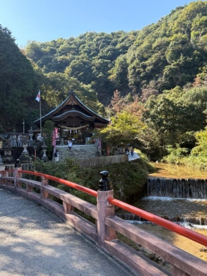 広島市中区薬研堀のヘルス AGORA（アゴラ）早朝6：00オープン!!厳選美人OLが連日多数出勤!!の写メ日記　久しぶりの?画像
